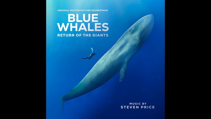 100 Miles in a Day | Blue Whales - Return of the Giants (Original ...