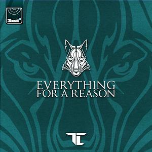 Everything For A Reason Song Everything For A Reason