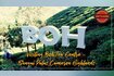 Visiting Boh Tea Centre Sungai Palas Cameron Highlands Video Song