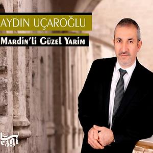 mardinli guzel yarim mp3 song download mardinli guzel yarim song by aydin ucaroglu mardinli guzel yarim songs 2013 hungama