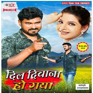 dil deewana ho gaya hai mp3 song download