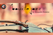 Bauxite Jazz | Relax Piano Jazz Coffee Music | Good Mood, Wake Up Video Song