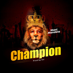 MP3 Song Download | Champion Song by Mandela | Champion Songs (2021) Hungama