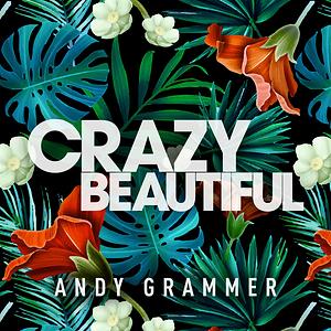 crazy beautiful full movie download