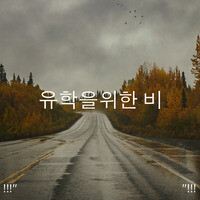 Ambient Sounds Song Ambient Sounds Mp3 Download Ambient Sounds Free Online 유학을위한 비 Songs 21 Hungama