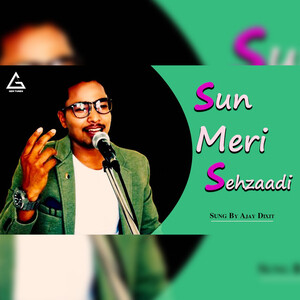 Sun meri discount shehzadi full song