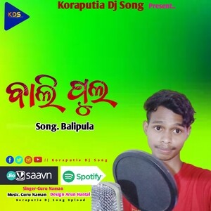 Baliphula Koraputia Song Songs Download, MP3 Song Download Free Online -  Hungama.com