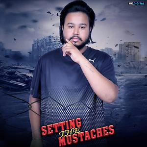 setting the mustaches songs setting the mustaches mp3 songs free online by tej sahi hungama hungama