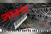 Spiderfisa |Ballo Liscio Fisarmonica | Mix Ottobre 2023 [Polka, Tango, Valzer] Video Song