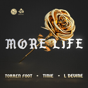 More Life Feat Tinie Tempah L Devine Mp3 Song Download More Life Feat Tinie Tempah L Devine Song By Torren Foot More Life Feat Tinie Tempah L