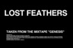 Lost Feathers Video Song