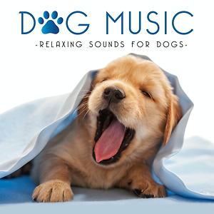 Dog Music - Calming Songs for Dogs 