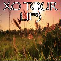 download lil uzi vert xo tour llif3