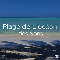 Ocean Sounds Waves Mp3 Song Download Ocean Sounds Waves Song By Ocean Sounds Plage De L Ocean Des Sons Songs 21 Hungama