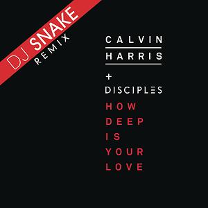 How Deep Is Your Love Dj Snake Remix Song 15 How Deep Is Your Love Dj Snake Remix Mp3 Song Download From How Deep Is Your Love Dj Snake Remix Hungama