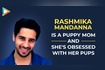 Sid On Rashmika Video Song