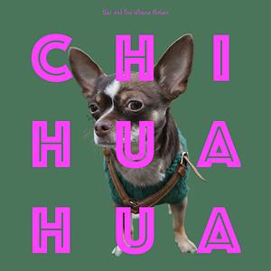 chi chi chihuahua song