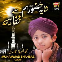 Shayad Huzoor Humse Khafa Hain Songs Download Shayad Huzoor Humse Khafa Hain Songs Mp3 Free Online Movie Songs Hungama shayad huzoor humse khafa hain songs