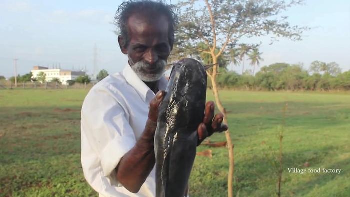 My Daddy Cleaning And Cooking Cat Fish