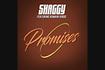 Promises Audio Video Song