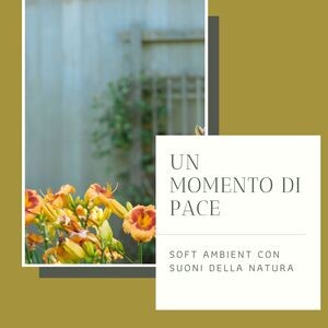 Gabbiani, suoni per rilassarsi Song Download by Diletta Loto – Un momento  di pace: Soft ambient con suoni della natura per momenti di totale relax  massaggio e rilassamento @Hungama