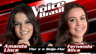 Flor E O Beija-Flor