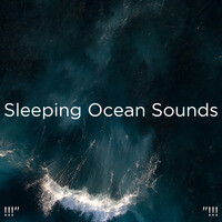 Zen Ocean Mp3 Song Download Zen Ocean Song By Ocean Sounds Zen Ocean Songs 21 Hungama