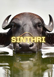 Sinthri