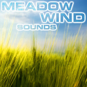 Download Free Wind Sound Effects