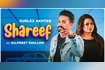 Shareef Video Song