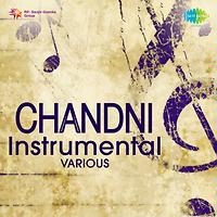 Chandni Instrumental Flute Songs Download Chandni Instrumental Flute Songs Mp3 Free Online Movie Songs Hungama chandni instrumental flute songs