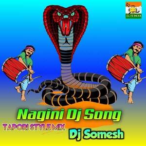 Nagini Dj Song (Tapori Style Mix) Songs Download, MP3 Song Download Free  Online 
