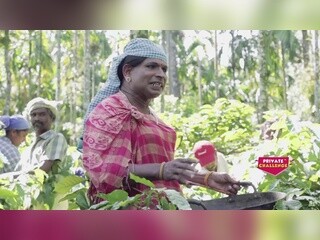 Aravind Bolar & Coffee Beans