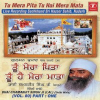 tu hioh hai radha soami shabad