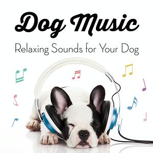 relaxing songs for dogs