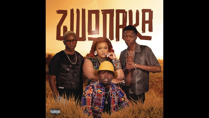 Zwonaka Official Audio
