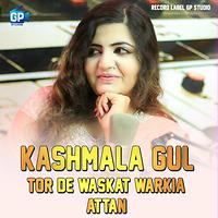 Kasmala Gull Xxx Vedios - Kashmala Gul MP3 Songs Download | Kashmala Gul New Songs (2023) List |  Super Hit Songs | Best All MP3 Free Online - Hungama