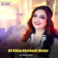 Afshan Zaibi MP3 Songs Download | Afshan Zaibi New Songs (2023) List |  Super Hit Songs | Best All MP3 Free Online - Hungama
