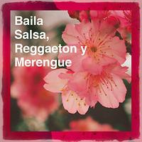 Pa Bebe Song Pa Bebe Mp3 Download Pa Bebe Free Online Baila Salsa Reggaeton Y Merengue Songs 2018 Hungama