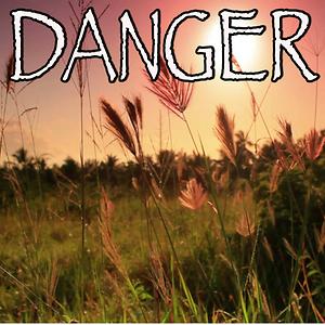 Danger Tribute To Migos And Marshmello Songs Download Danger