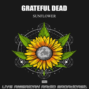free live grateful dead downloads