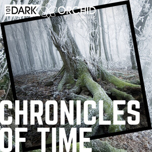 Chronicles Of Time Song Download Chronicles Of Time Mp3 Song Download Free Online Songs Hungama Com