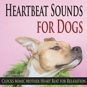 Heartbeat Sounds for Dogs (Clocks Mimic Mother Heart Beat for Relaxation)  Songs Download, MP3 Song Download Free Online 