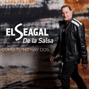 I Love You Baby Mp3 Song Download I Love You Baby Song By El Seagal De La Salsa Como Tu No Hay Dos Songs 19 Hungama