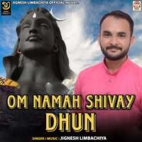 Om Namah Shivay (Dhun) Songs Download, MP3 Song Download Free Online ...