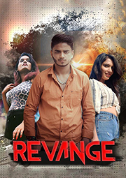 Revenge 2017 movie online in hindi download filmywap