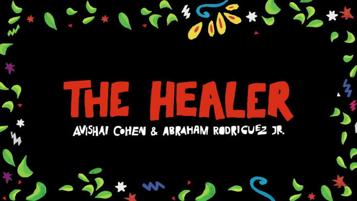 The Healer Visualizer