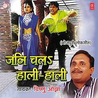 vishnu ojha ke nirgun