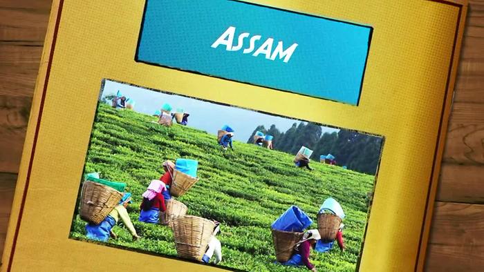 Assam Incredible India