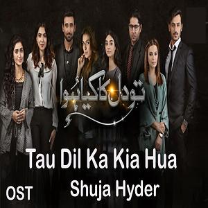 Tau Dil Ka Kia Hua songs